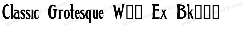 Classic Grotesque W05 Ex Bk字体转换